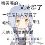 猫仔-Applehub心动未来官网